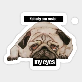 Needy Pug Sticker